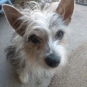 Meet your Posher, Janette